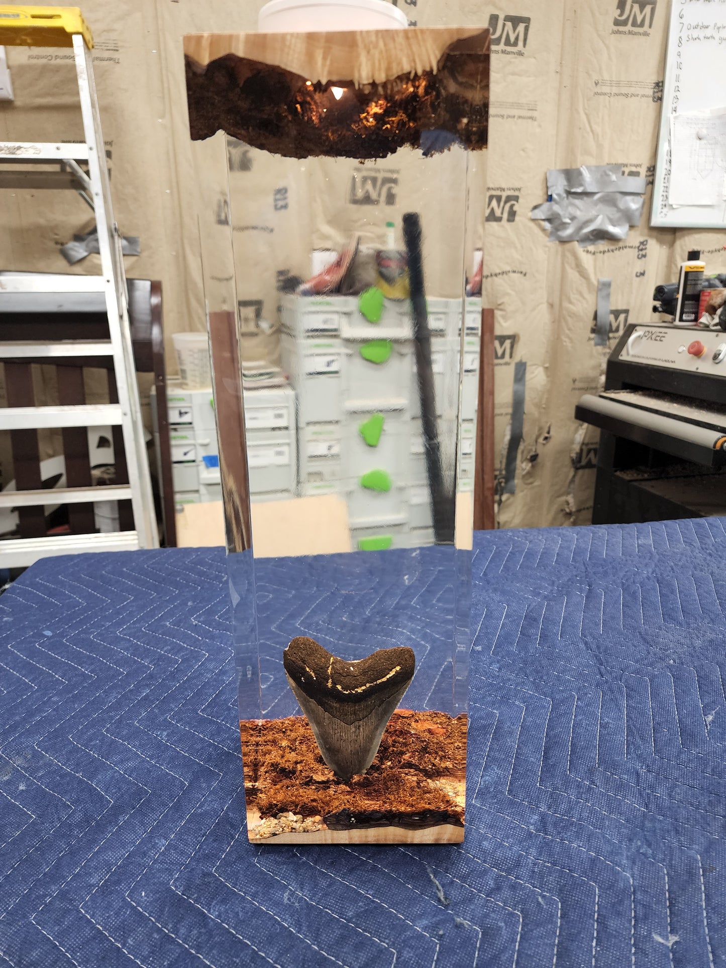 Encapsulated Epoxy Art