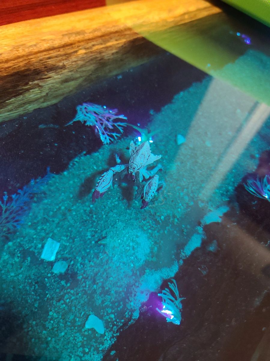 Themed Epoxy River Tables